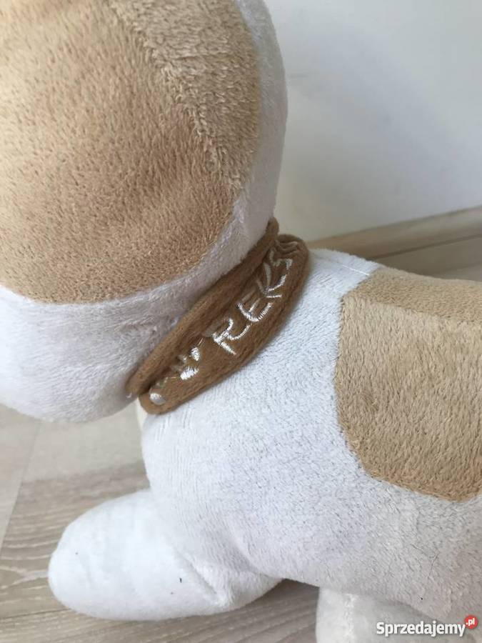 Maskotka Reksio Strzyżowice