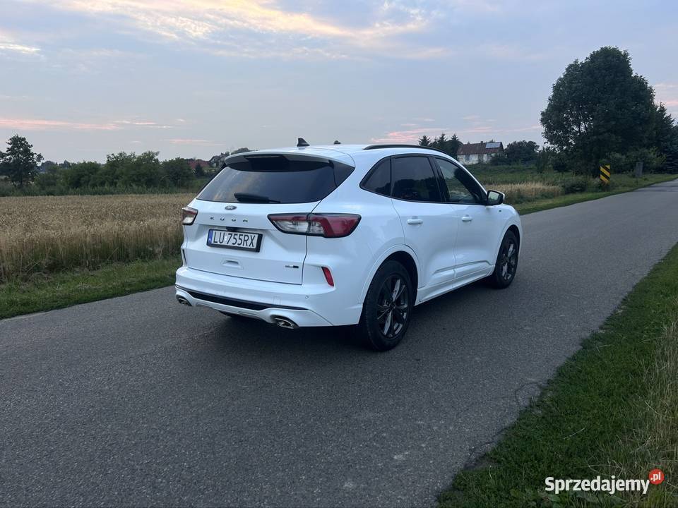 Ford Kuga STLine X Rok produkcji 2020 Piotrowice Wielkie
