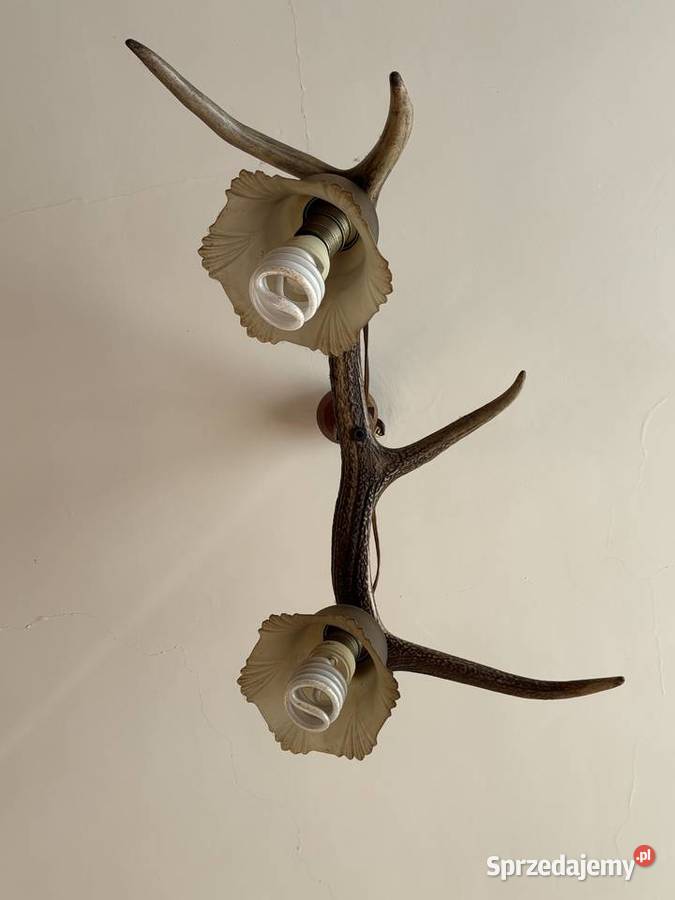 Lampa z poroża Proszowice