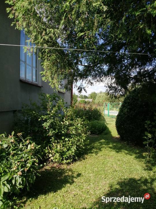 Sprzedam dom do remontu Czysta Dębina