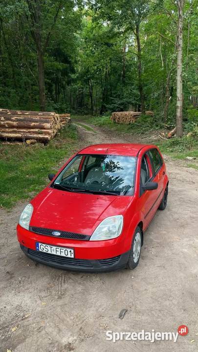 Ford Fiesta pomorskie Starogard Gdański