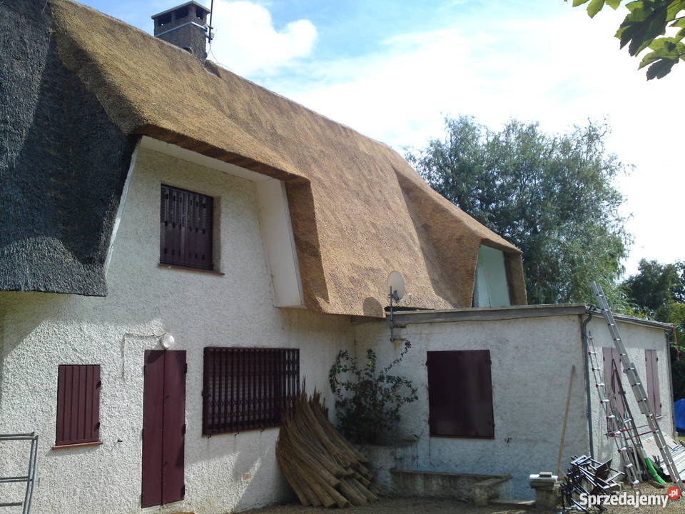 Dachy trzcinowe trzcina remont renowacja starych wielkopolskie Stogi