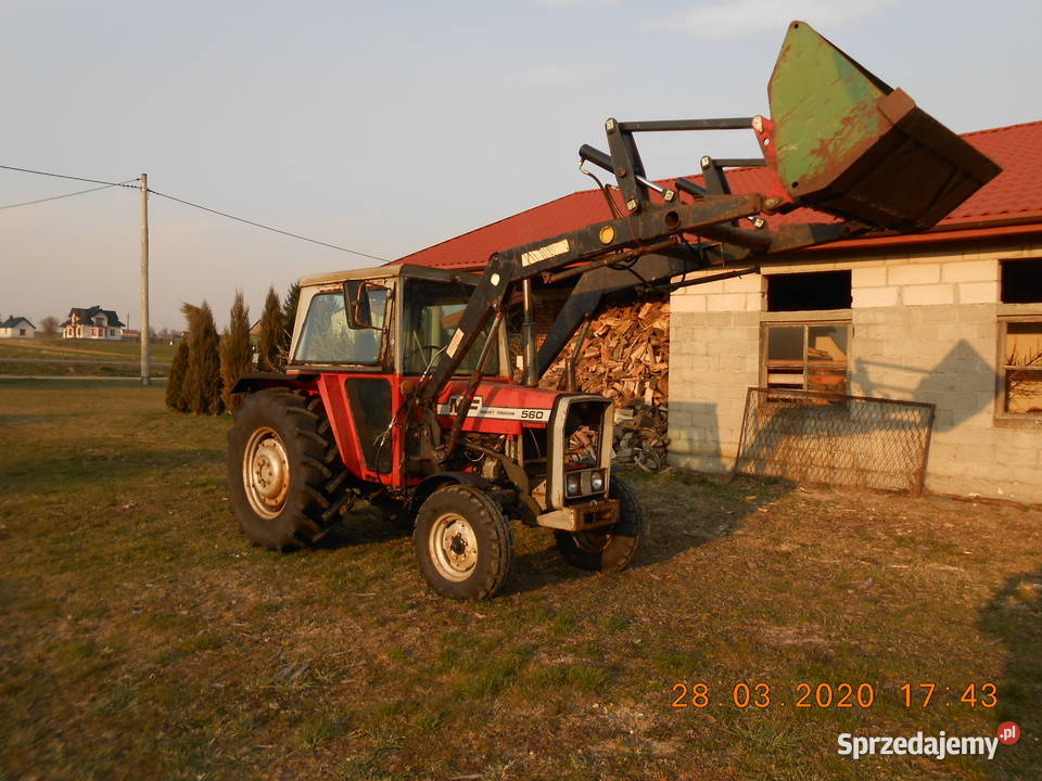 Mf 560 z ładowaczemtanio Zamość