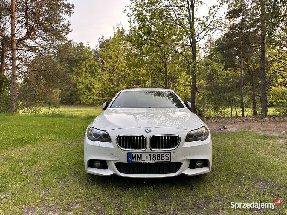 BMW Seria 5 525d xDrive Lift Salon Polska 4/5