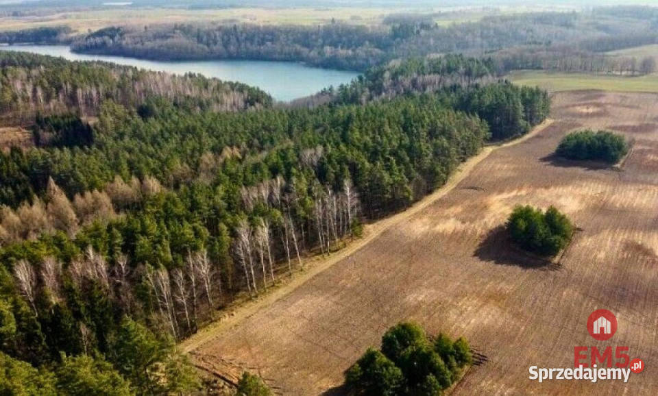 Ogłoszenie działka 3000m2 Nowe Krzywe