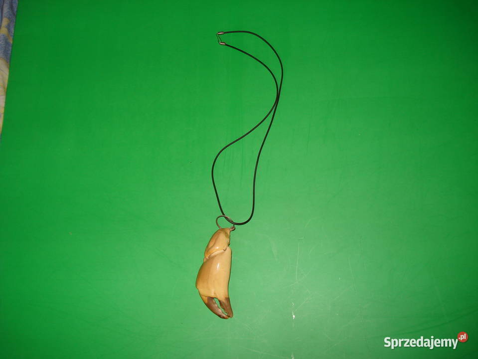 Naszyjnik na rzemyku z nóżką kraba mazowieckie Warszawa