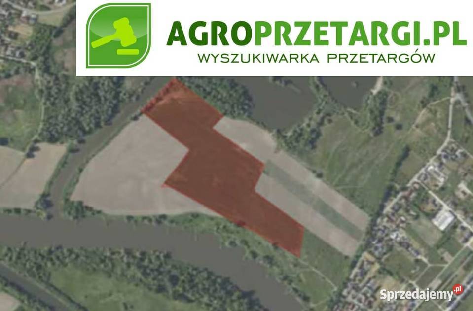 Dzierżawa 1057 ha gruntu rolnego sprzedam