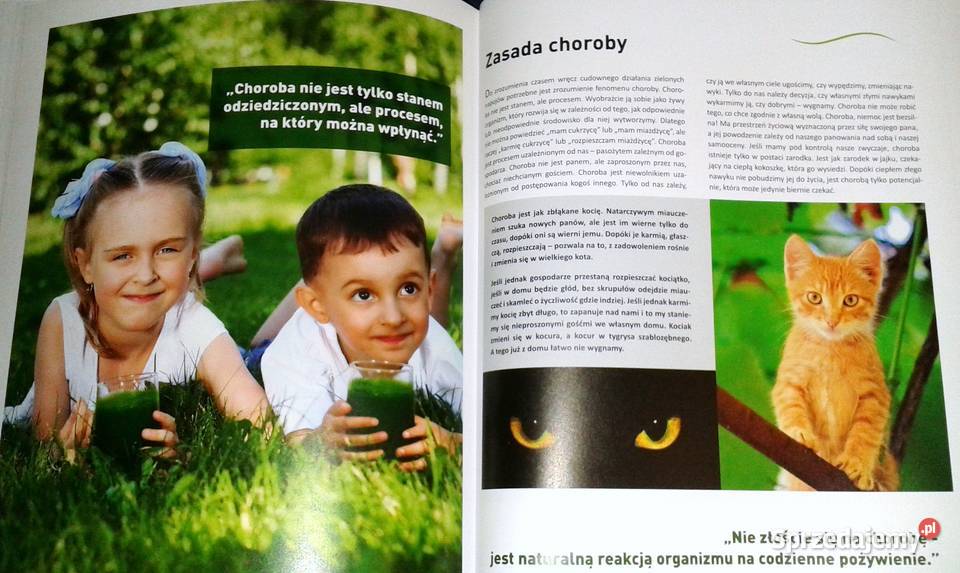 Napoje z trwa Vaclav Rathousky Chełm