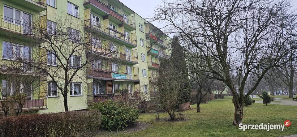 Udział 16 w lokalu mieszkalnym Bilcza