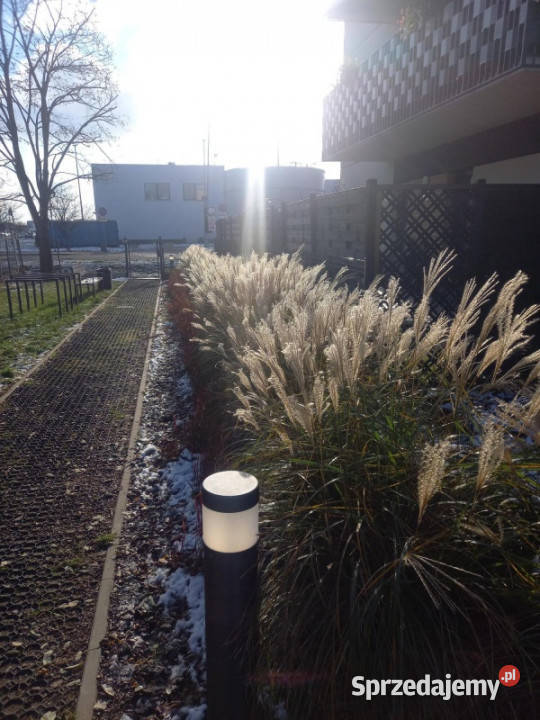 49m2 2 POKOJE TARAS MIESZKANIE NOWE DWUSTRONNE Sprzedaż Warszawa