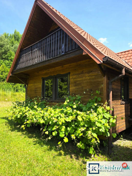 Dom wolnostojący 443m2 Siemuszowa