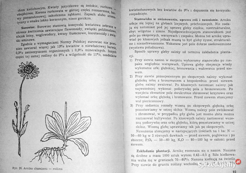 Poradnik plantatora ziół Antonina Chełm