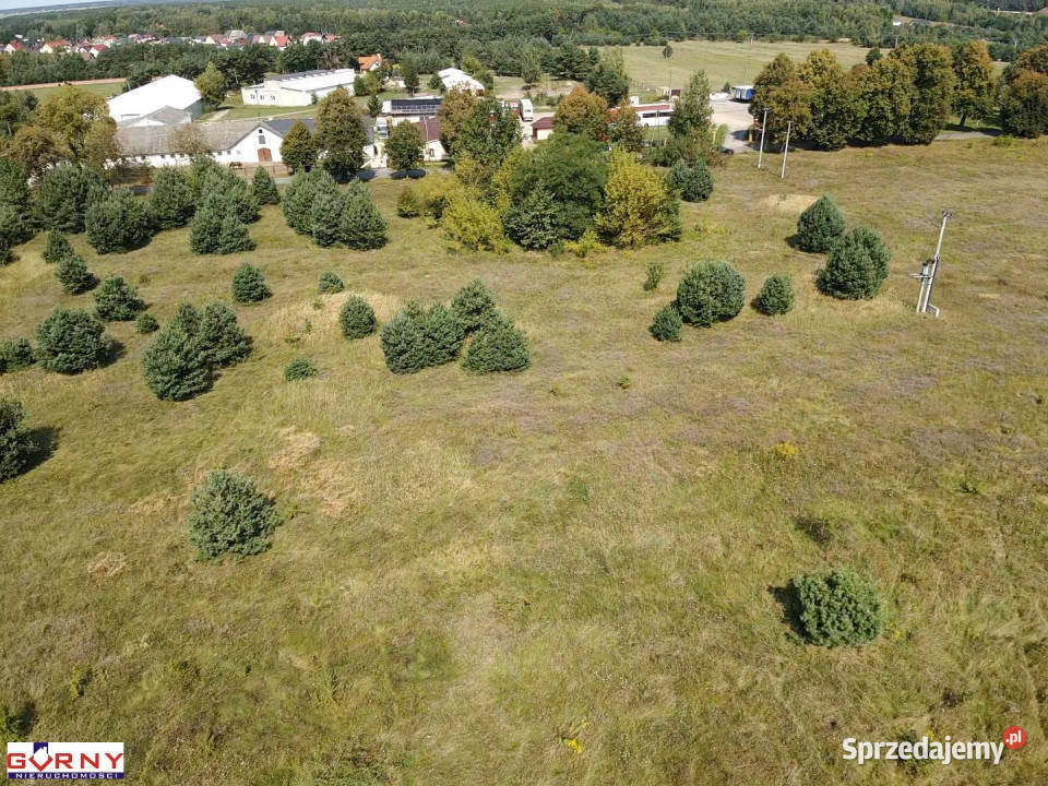 Działka 9871m2 Sulejów