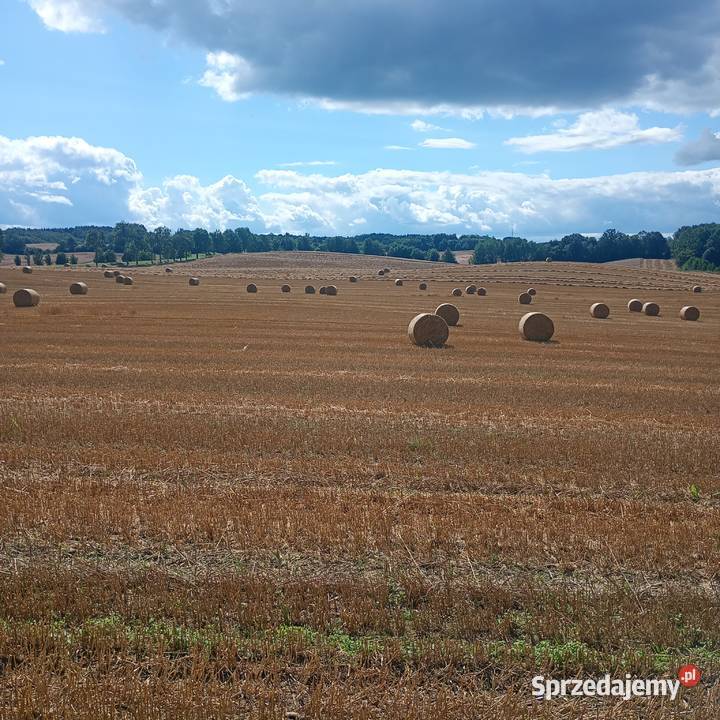 Spszedam słome 135 85 Burszewo sprzedam