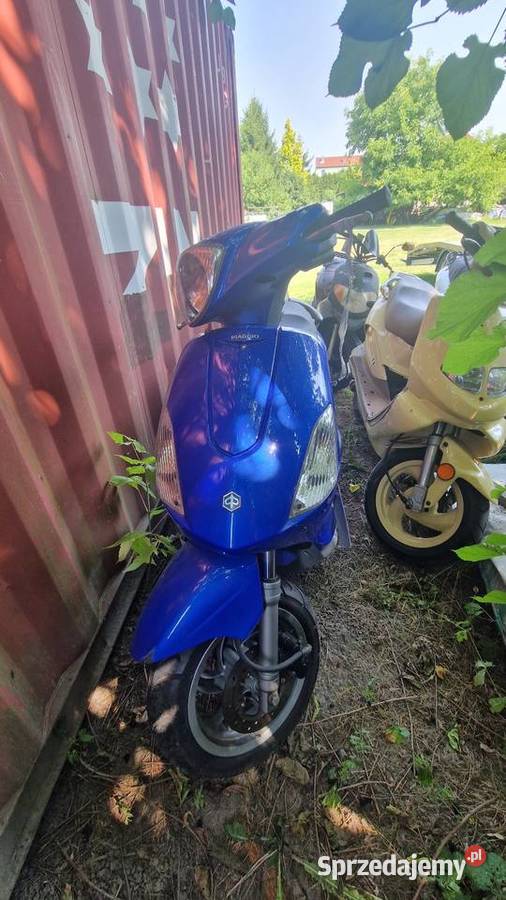 Pakiet pięciu skuterów Piaggio Aprilia Tgb Aprilia Wilczyce