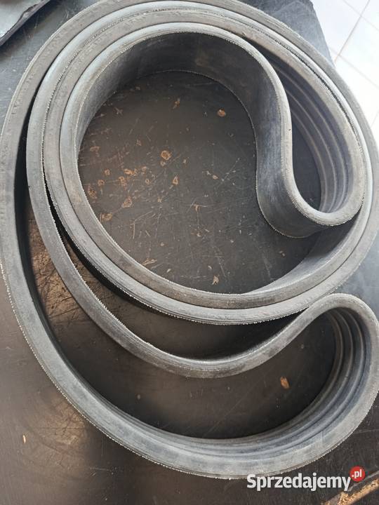 Pas 6215262 Kevlar Pozostałe lubelskie Biłgoraj