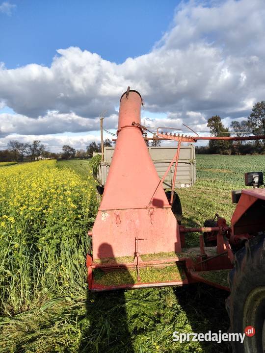 Ścinacz Zielonek Tarrup Koło