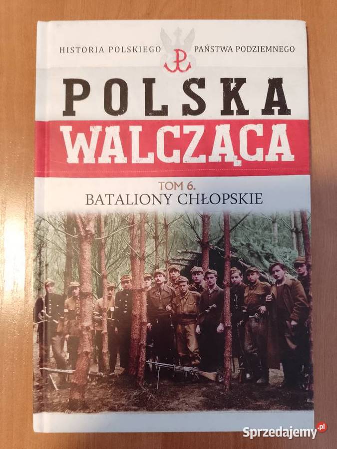 Polska Walcząca tom 6 bataliony chłopskie wielkopolskie Piła