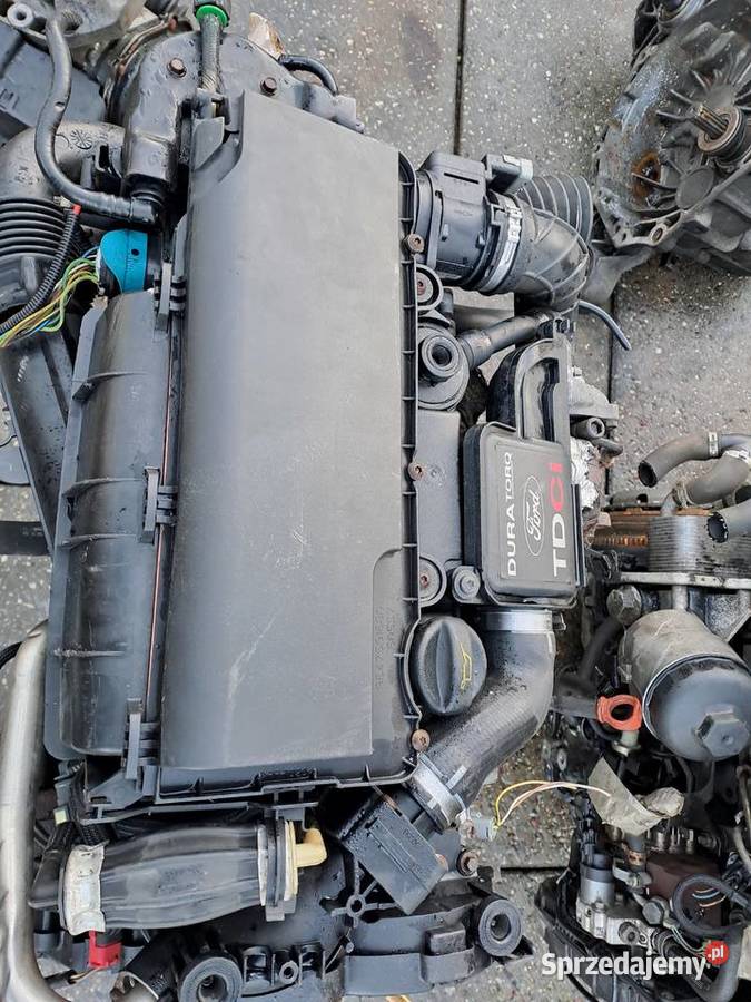 Ford Fiesta Fusion 14 TDCi silnik kompletny kod Jastrzębie-Zdrój