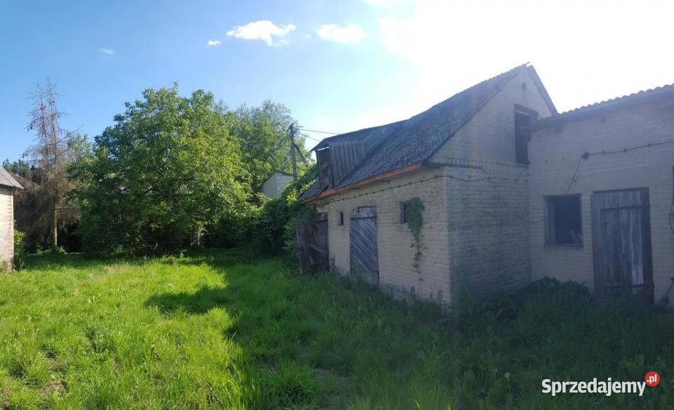 siedlisko 53 ar ziemi pod Kazimierzem Zagajdzie sprzedam