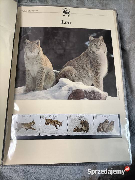 Sprzedam przedmioty Antyki, Sztuka, Kolekcje warmińsko-mazurskie Elbląg