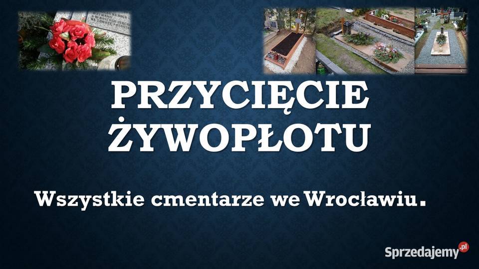 Ile kosztuje przycięcie gałęzi tui na cmentarzu dolnośląskie
