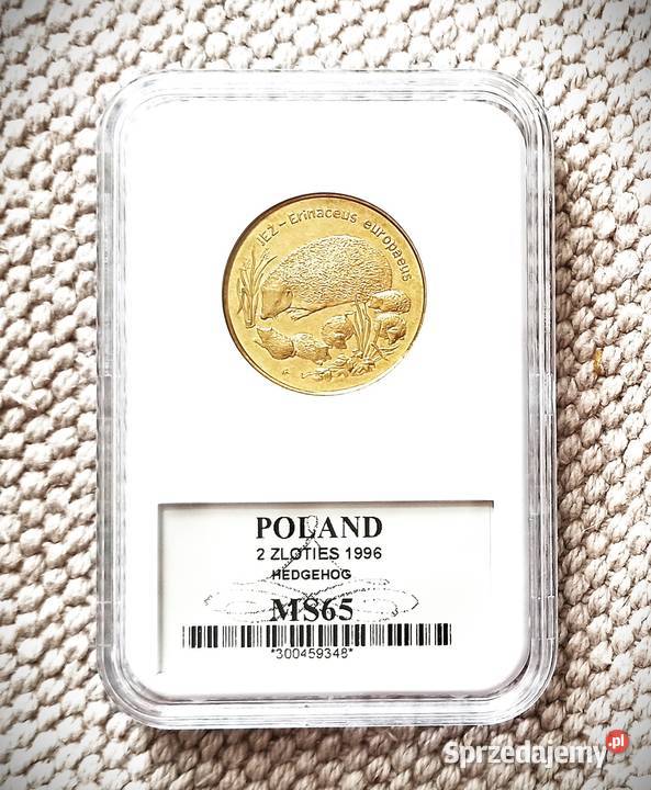 2 1996 r Jeż GCN MS65 dolnośląskie Wrocław