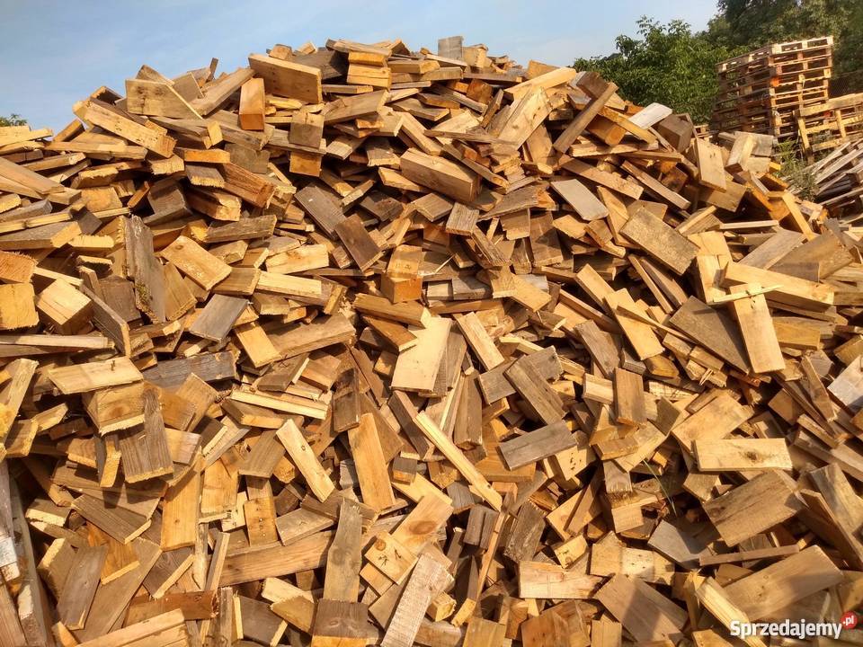 Drzewo cięte na opal Oborniki