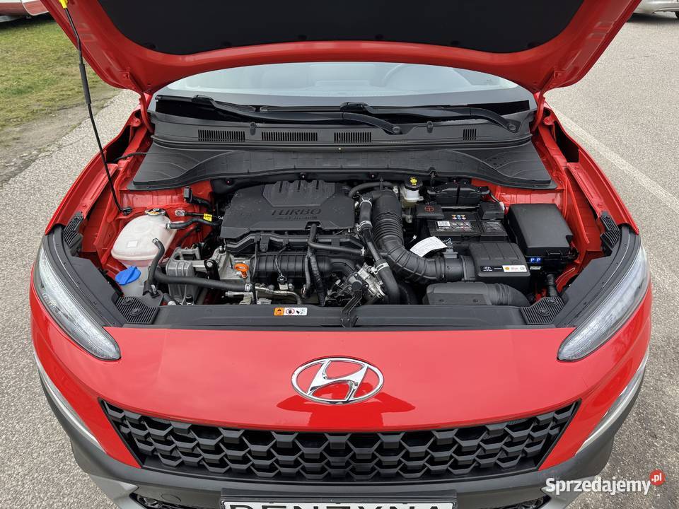 Hyundai Kona BENZYNA Klimatronik Nawigacja 120KM Kona Konin
