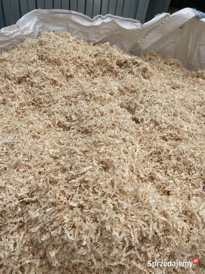 Trociny troty wióry suche jodła świerk Opał Bzianka