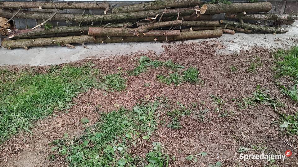 Drewno opalowe Sanok