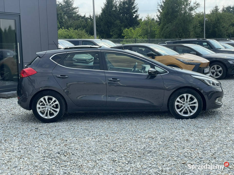 Kia Ceed 16 16V GDI XL 135 2012r bogata wersja Wrocław