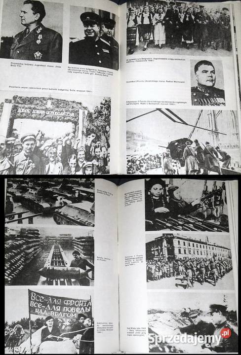 Armia radziecka 19411945 Fryderyk Zbiniewicz Chełm sprzedam