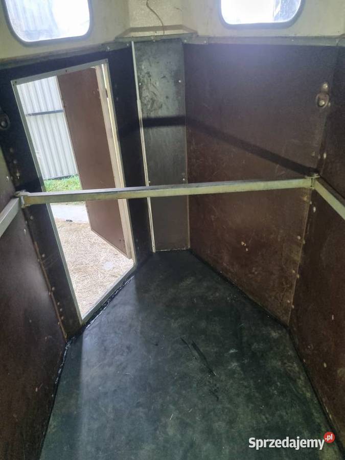 klacz przyczepa konna Konie