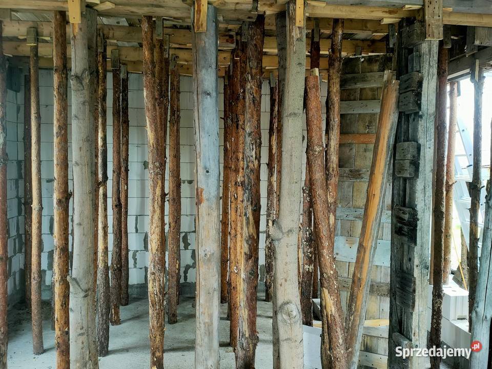 Stemple paliki słupki płot tymczasowy opał Pozostałe śląskie Rybnik sprzedam