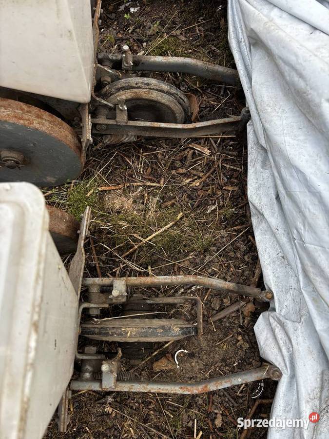 Siewnik do buraków Gamma Czermin