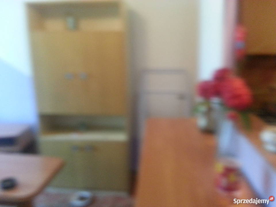 Pokój z aneksem kuchennym i łazienką internet Liczba pokoi 1 łódzkie Łódź