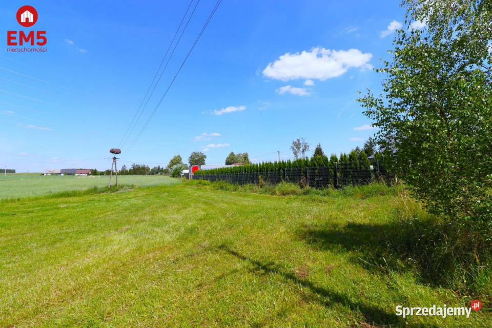 Ziemia 3000m2 Turówka Nowa sprzedam