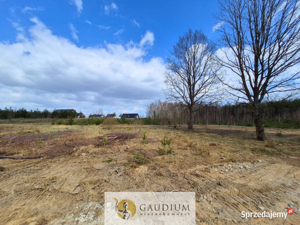 Przystanek NATURA działka pod lasem Kobysewo