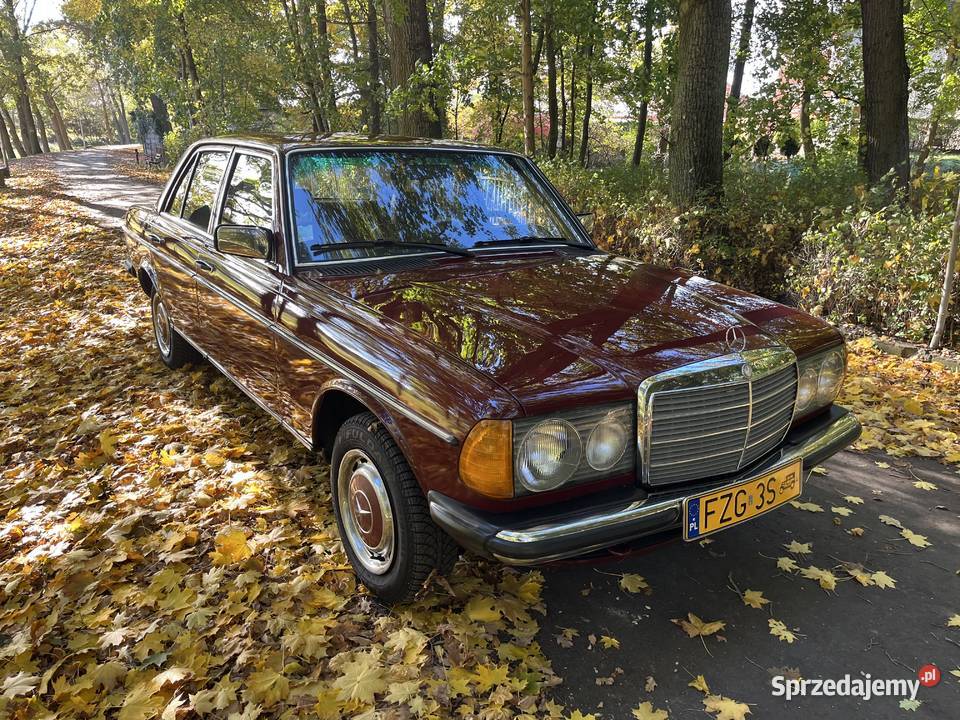 MercedesBenz W123 nieuszkodzony Żagań