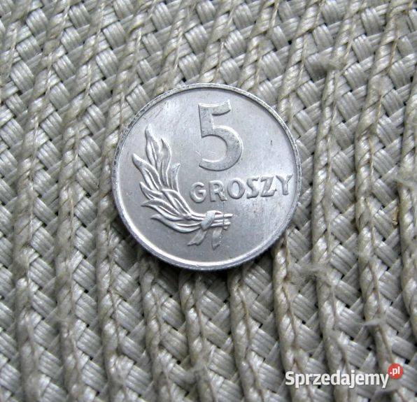 Polska 5 gr 1949r Kalisz