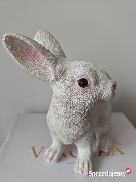 Zając biały z polizywicy Dębica sprzedam