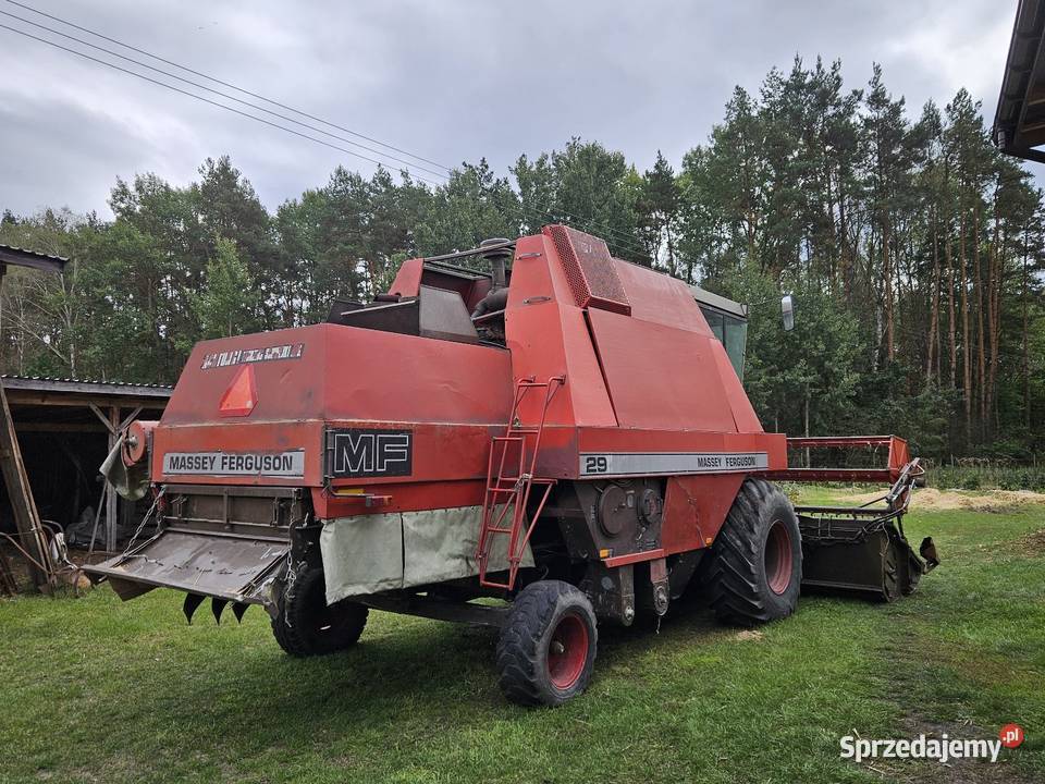 Massey Ferguson 29 6cyl Perkins Sieczkarnia-rozdrabniacz Osieck sprzedam