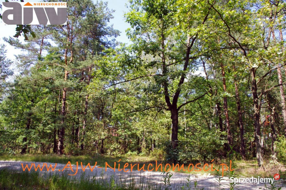 Działka 2210m2 Izabelin B gm Izabelin