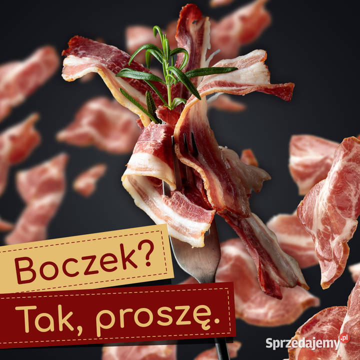 Grafik z doświadczeniem Ulotki Social Media Rzeszów