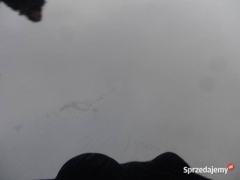 AUDI A8 D2 9902 DRZWI PRAWY TYL LY95 Przemęt