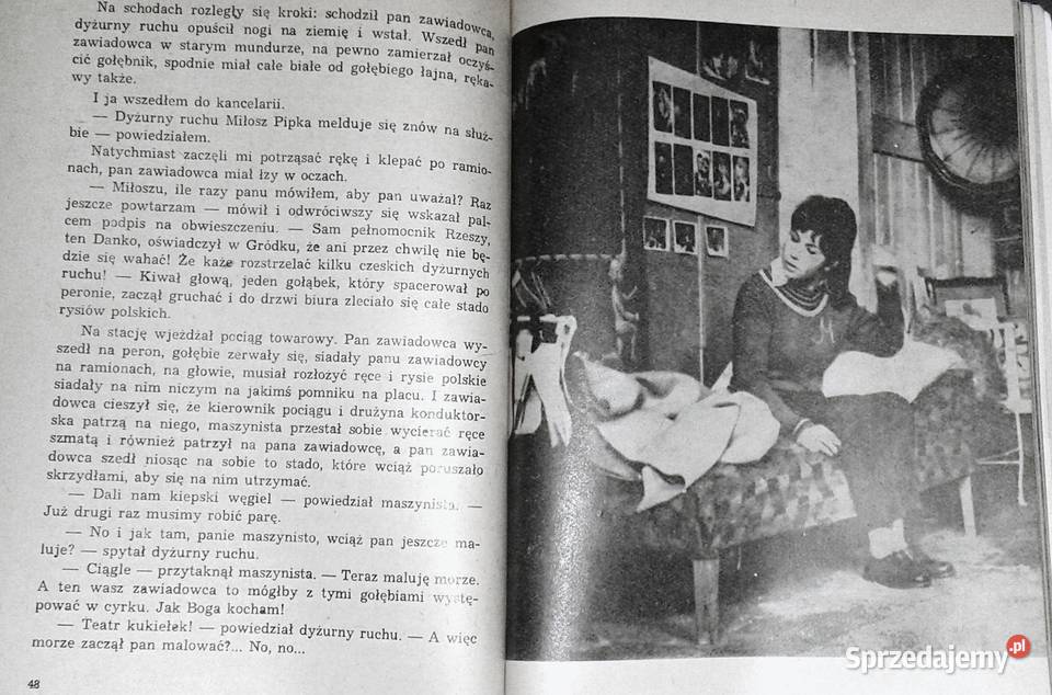 Pociągi pod specjalnym nadzorem Bohumil Hrabal Chełm