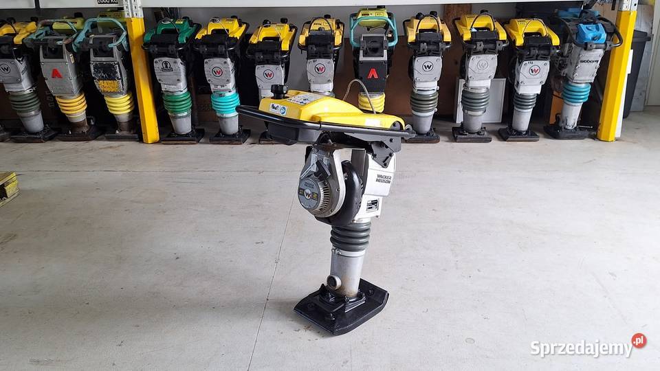 Skoczek Stopa WACKER NEUSON BS 502 11in 2023r