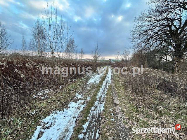 Oferuję działke inwestycyjną w Jerzmanowie 150zł/m2 dolnośląskie Wrocław sprzedam