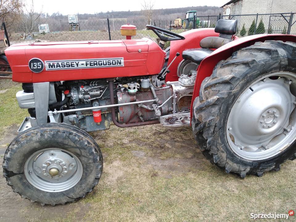 Massey ferguson 135 Pełczyce